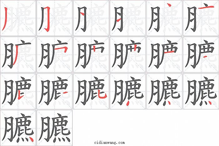 臕字笔顺分步演示图
