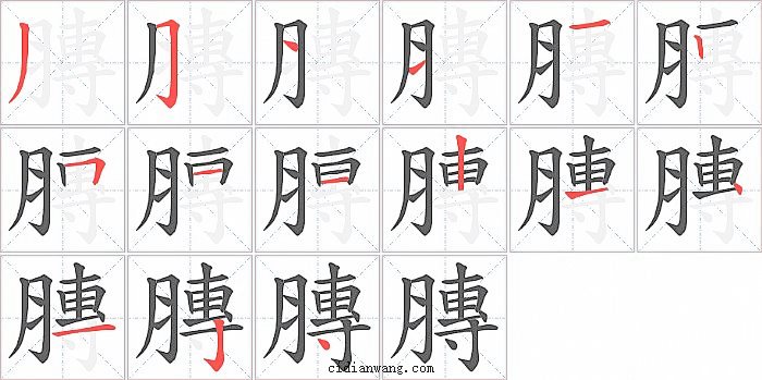 膞字笔顺分步演示图