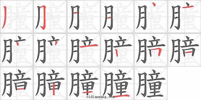 朣字笔顺分步演示图