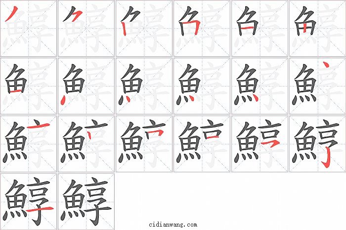 鯙字笔顺分步演示图