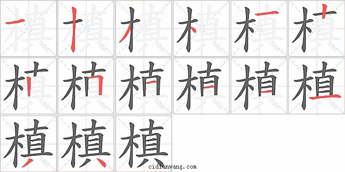 槙字笔顺分步演示图