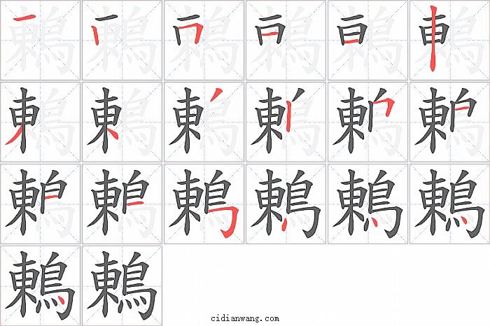鶇字笔顺分步演示图
