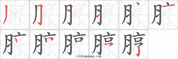 脝字笔顺分步演示图