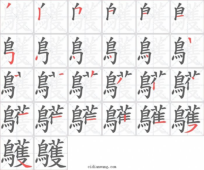 鸌字笔顺分步演示图
