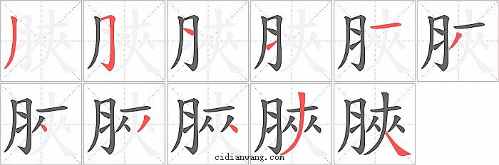 脥字笔顺分步演示图