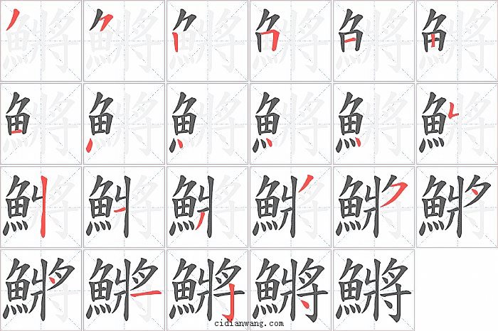 鱂字笔顺分步演示图
