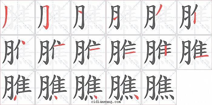 膲字笔顺分步演示图