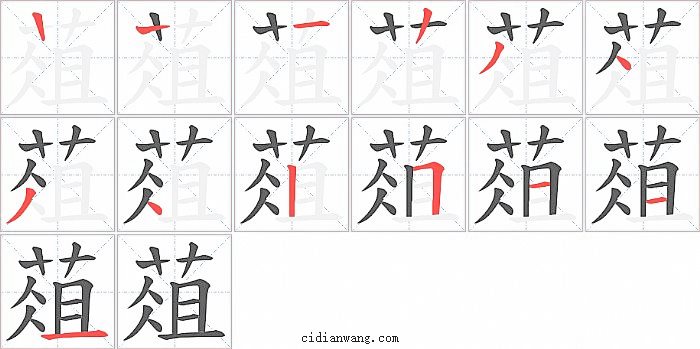 葅字笔顺分步演示图