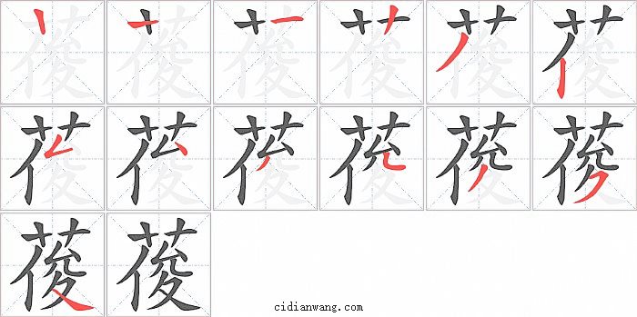 葰字笔顺分步演示图