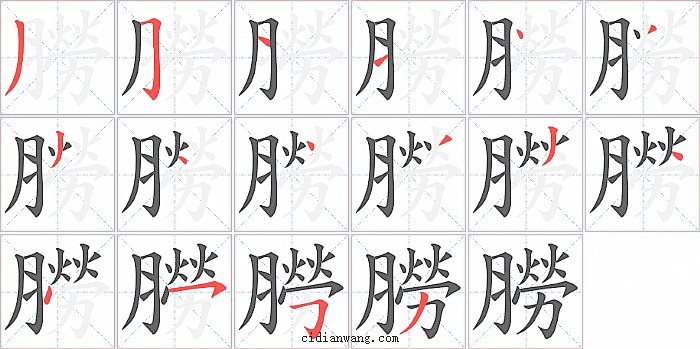 朥字笔顺分步演示图