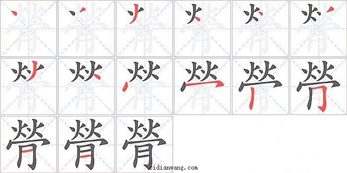 膋字笔顺分步演示图