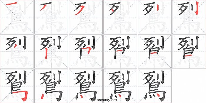 鴷字笔顺分步演示图