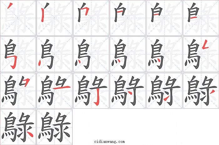 鵦字笔顺分步演示图