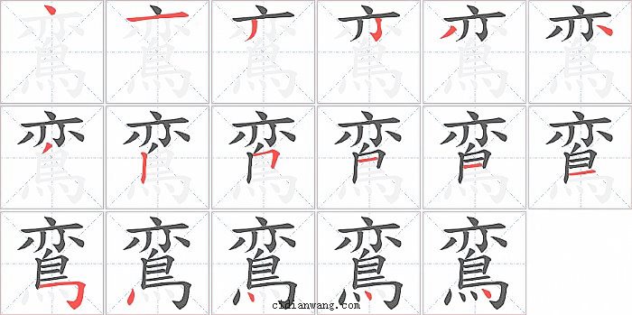 鵉字笔顺分步演示图