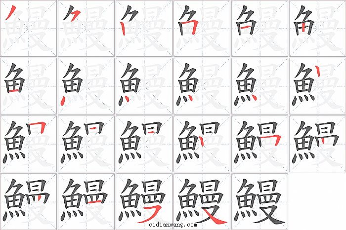 鰻字笔顺分步演示图
