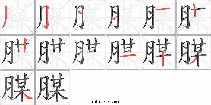 腜字笔顺分步演示图