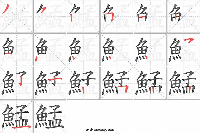 鯭字笔顺分步演示图