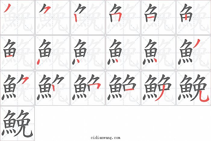鮸字笔顺分步演示图
