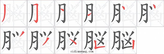 脳字笔顺分步演示图