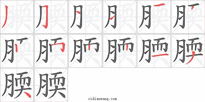 腝字笔顺分步演示图