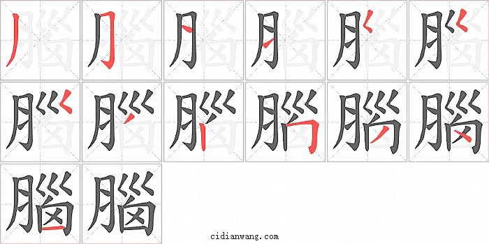 腦字笔顺分步演示图