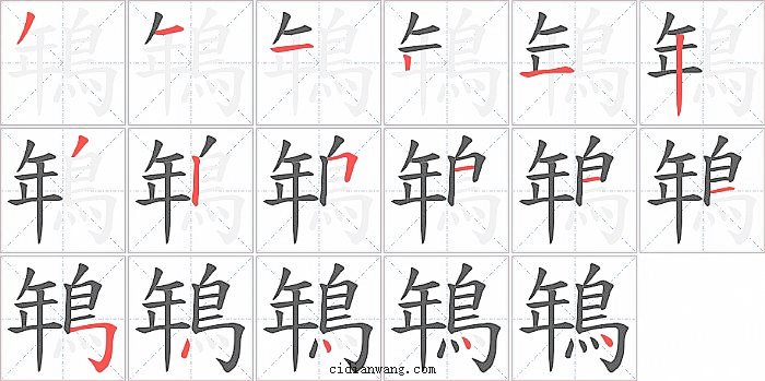鵇字笔顺分步演示图