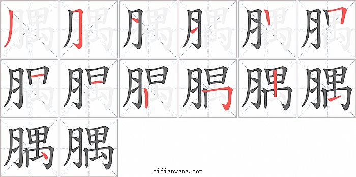 腢字笔顺分步演示图