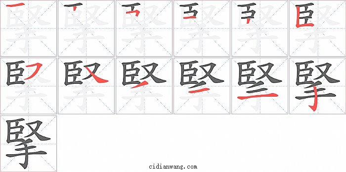 掔字笔顺分步演示图
