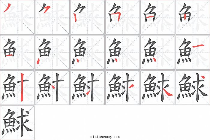 鯄字笔顺分步演示图