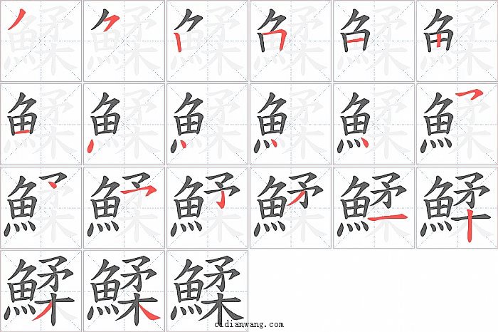 鰇字笔顺分步演示图