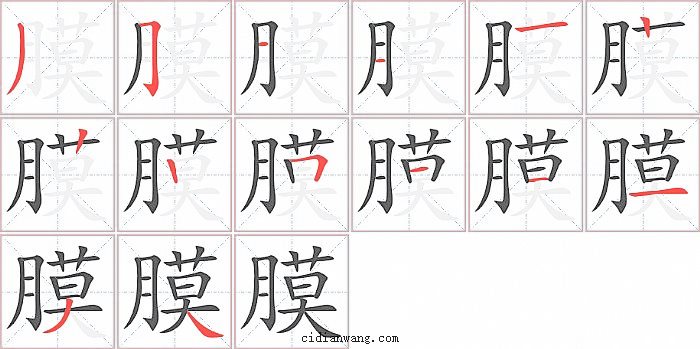 膜字笔顺分步演示图