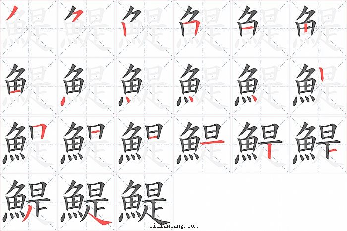 鯷字笔顺分步演示图