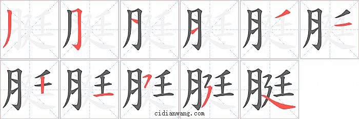 脡字笔顺分步演示图