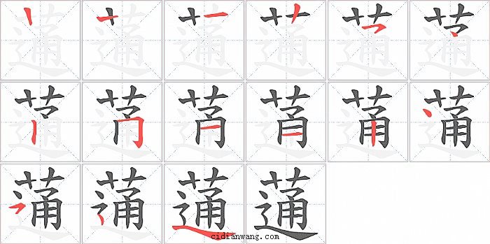 蓪字笔顺分步演示图