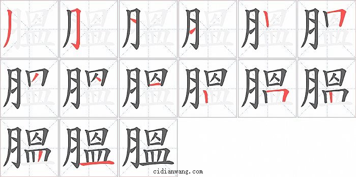 膃字笔顺分步演示图