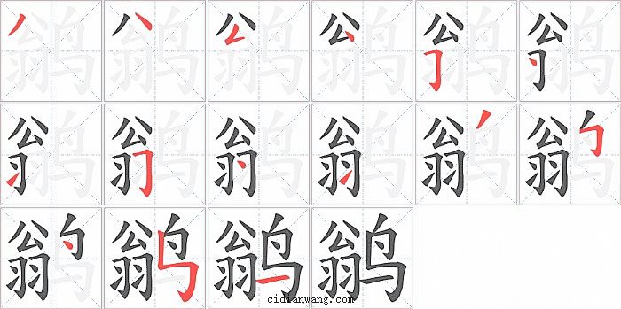 鹟字笔顺分步演示图