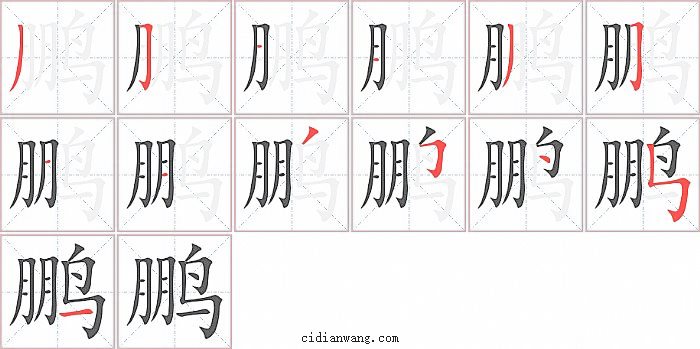 鹏字笔顺分步演示图