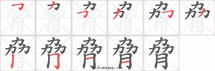 脅字笔顺分步演示图