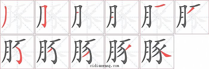豚字笔顺分步演示图