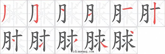 脙字笔顺分步演示图