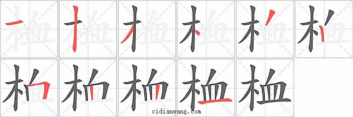 桖字笔顺分步演示图