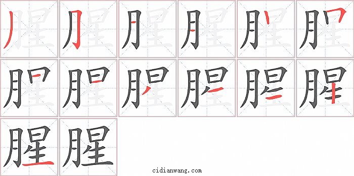 腥字笔顺分步演示图
