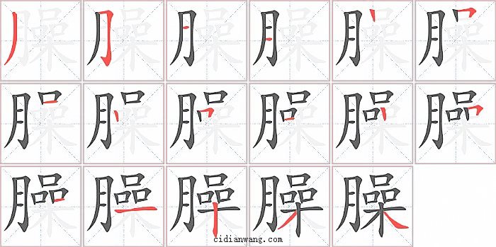 臊字笔顺分步演示图