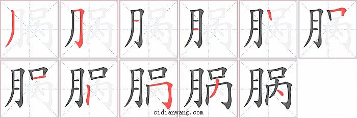 脶字笔顺分步演示图