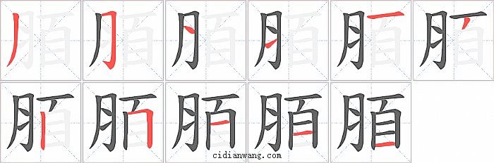 脜字笔顺分步演示图