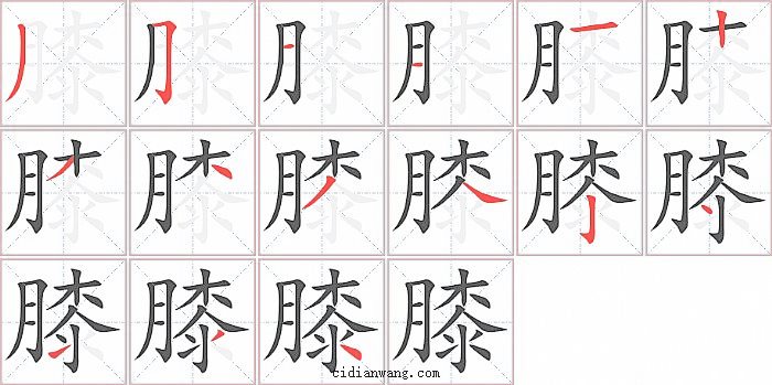膝字笔顺分步演示图