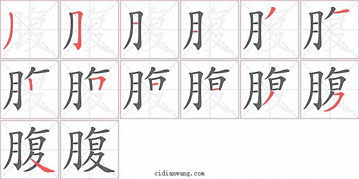 腹字笔顺分步演示图