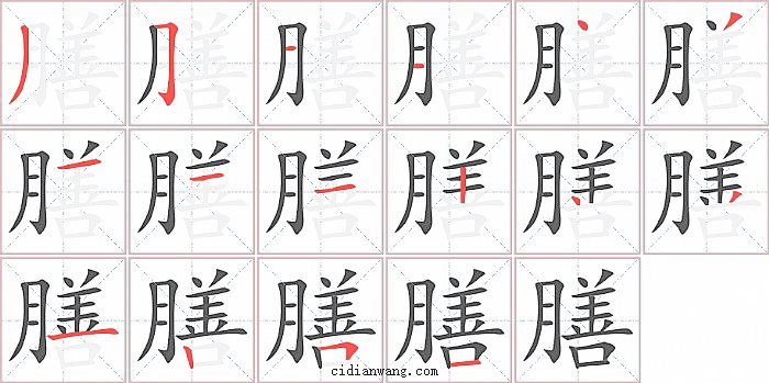膳字笔顺分步演示图