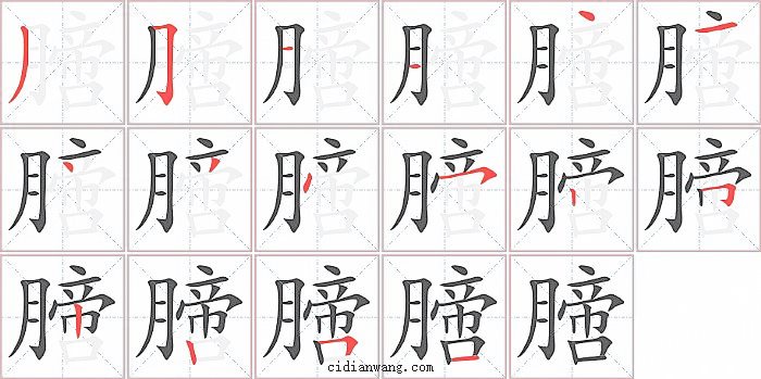 膪字笔顺分步演示图