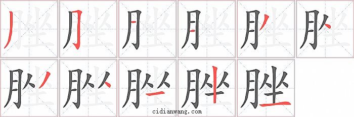 脞字笔顺分步演示图